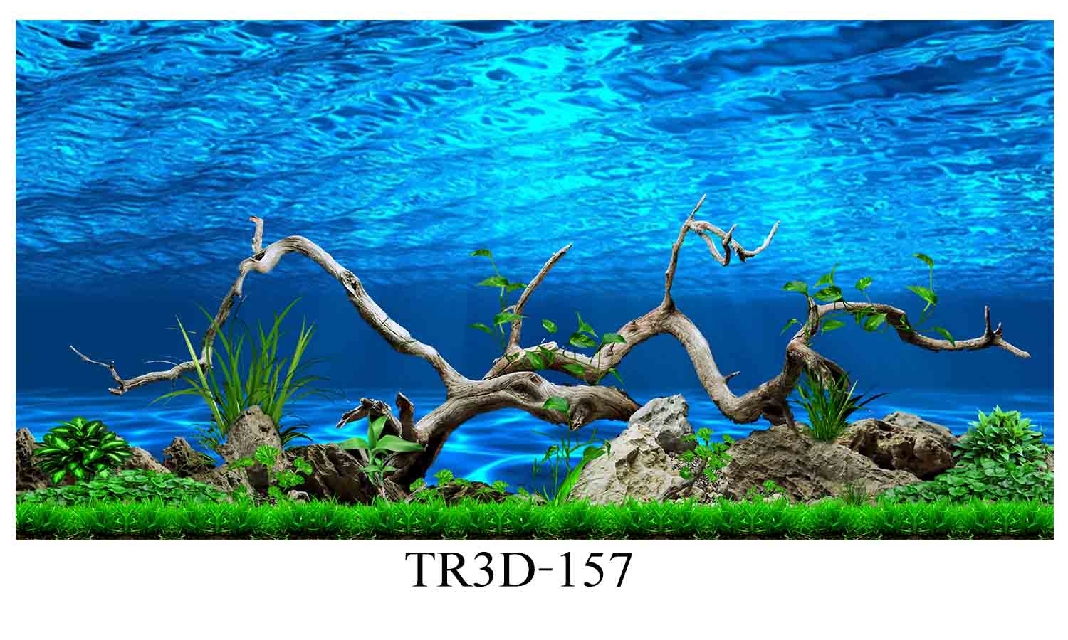 Tranh bể cá mã TR3D-157