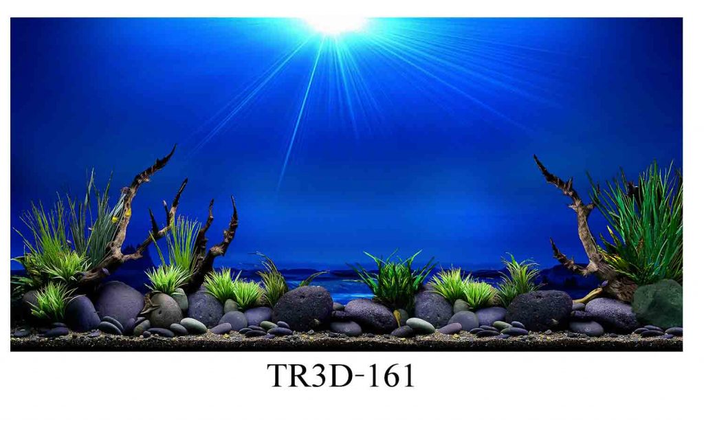Tranh bể cá mã TR3D-161