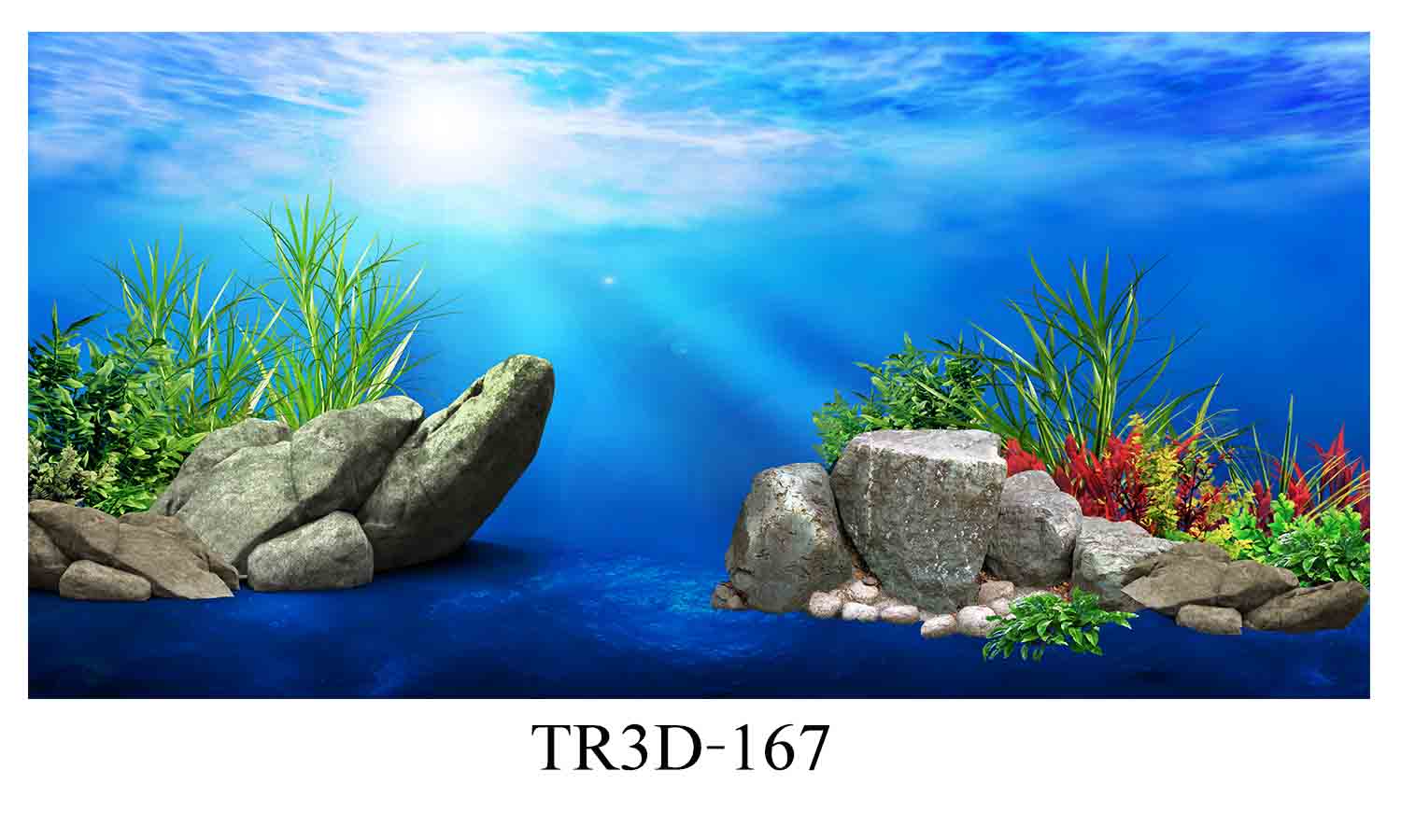 Tranh bể cá mã TR3D-167