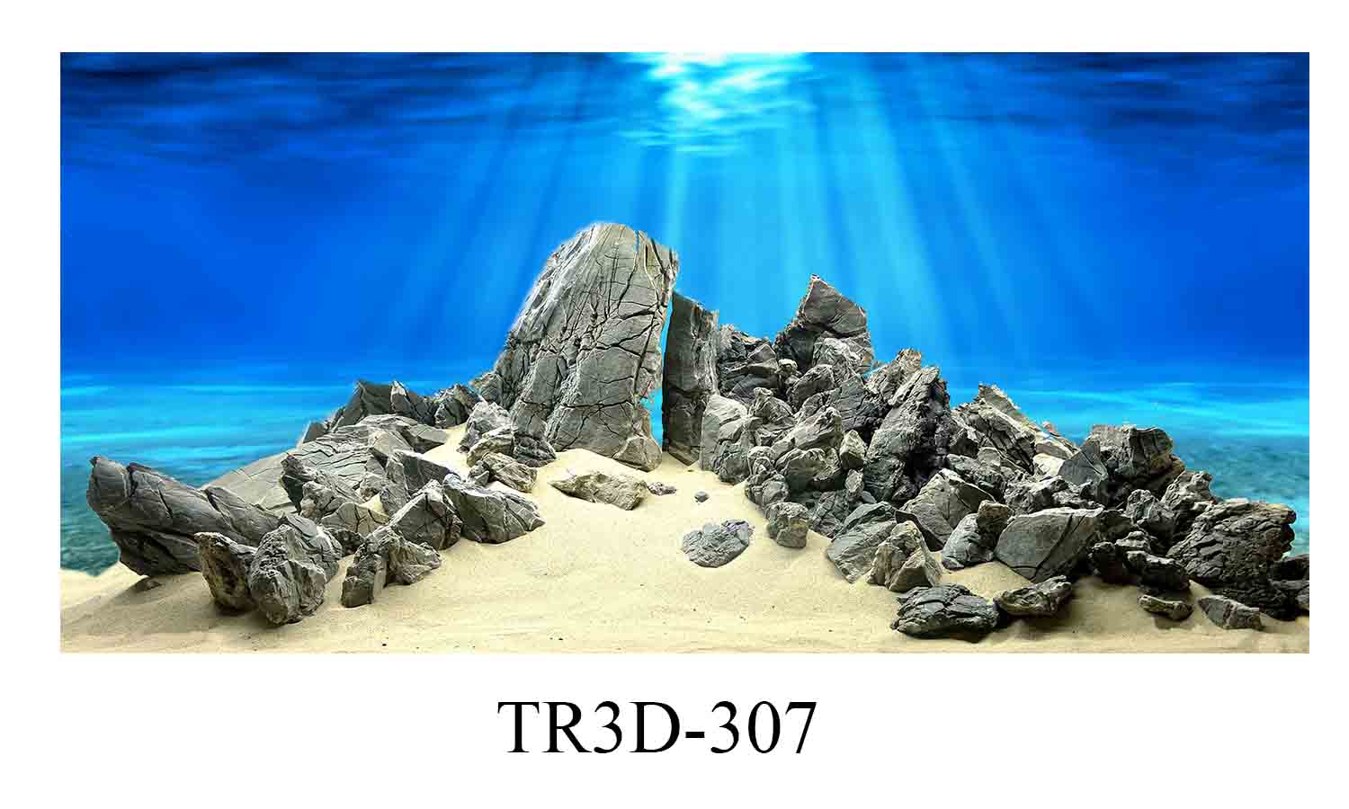 Tranh Bể Cá Mã Tr3D-307