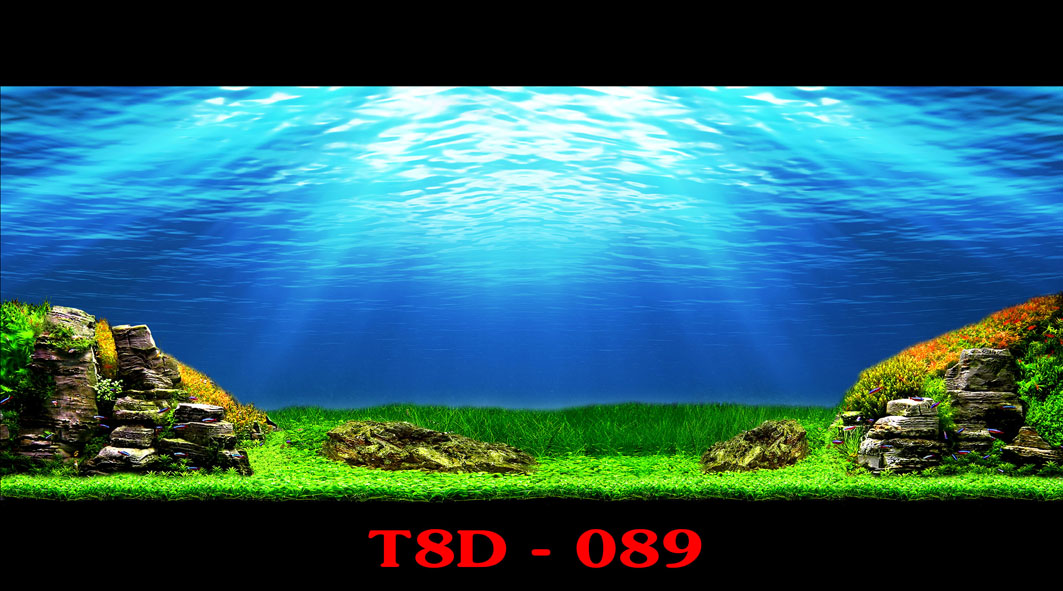 T8D-089: Những phẩm chất nghệ thuật cao cấp đều nằm trong sản phẩm T8D-