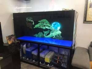 Tranh 3D hồ cá của anh Thành tại Hải Phòng sau khi dán hoàn thiện