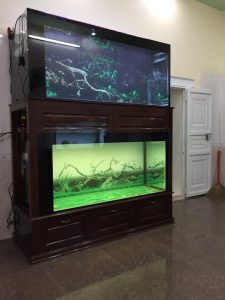 Bể cá tầng dán Tranh 3D cực chất của anh Cường tại thành phố Hải Phòng