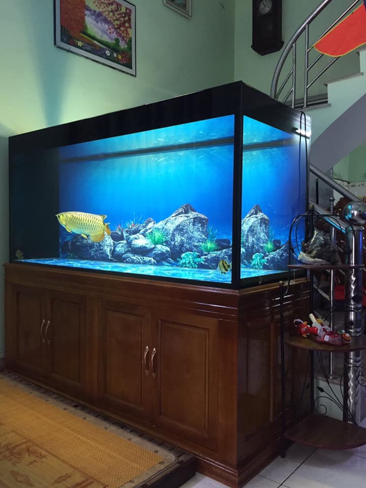 Thưởng thức tác phẩm nghệ thuật Tranh 3D bể cá Kim Long sẽ mang đến cho bạn cảm giác như được lạc vào một thế giới mới, với đầy đủ các loài cá sinh động trong bể. Cảm nhận được vẻ đẹp tự nhiên tuyệt đẹp của bể cá trong khung tranh.