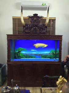 Tranh 3D hồ cá của bác Dũng – Tp Lạng Sơn