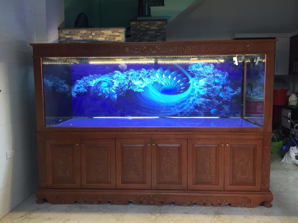 Tranh 3D hồ cá  bể cá dán tường tuyệt đẹp cho ngôi nhà của bạn  Tranh dán  tường 3D NTP