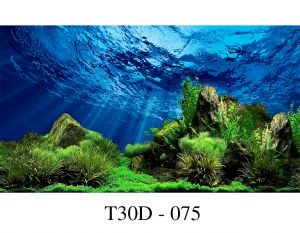 Cách dán tranh 3D bể cá cảnh • 5 phút để có một bức tranh đẹp tuyệt vời