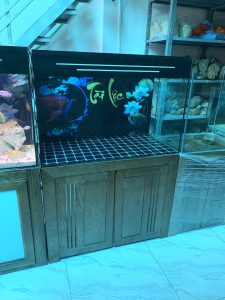 Tranh 3D cá rồng Huyết Long Sen Tài lộc thư pháp bể thực tế – Bể anh Huy Phú Quốc