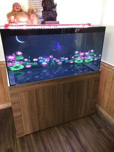 Tranh 3D hồ cá mẫu Sen dán thực tế – Bể anh Quốc Nam Định